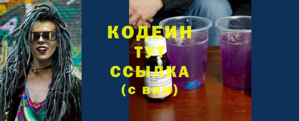 ECSTASY Богданович