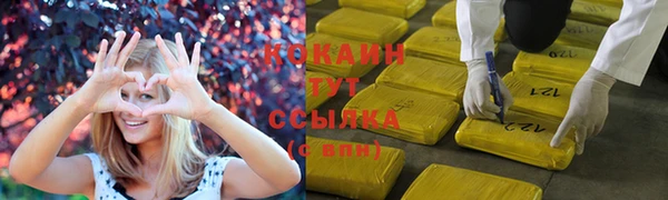 ALPHA PVP Богородицк