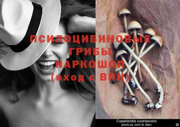 ALPHA PVP Богородицк