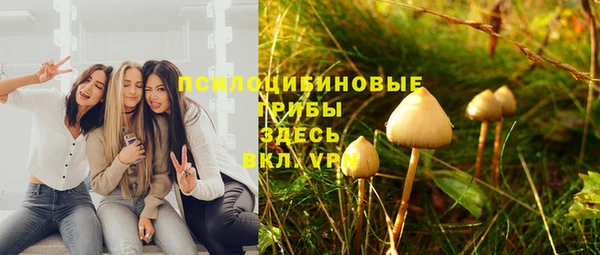 молекула духа Богородск