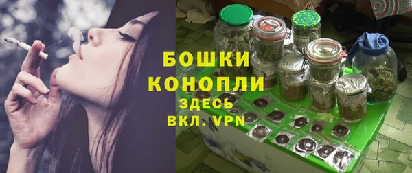 молекула духа Богородск