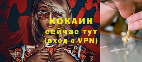 ALPHA PVP Богородицк