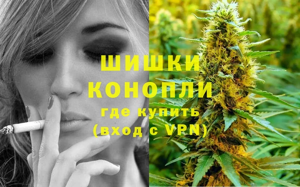 молекула духа Богородск