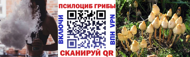 Галлюциногенные грибы ЛСД Севск