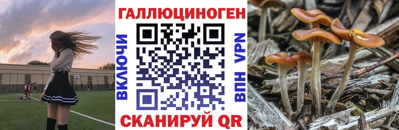 Псилоцибиновые грибы мицелий  Севск 